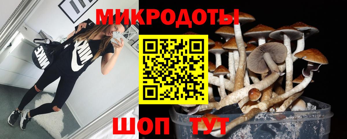 Чехов  Галлюциногенные грибы GOLDEN TEACHER  Вход с VPN 