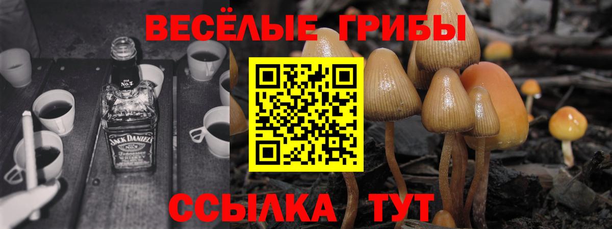 Псилоцибиновые грибы MAGIC MUSHROOMS Чехов